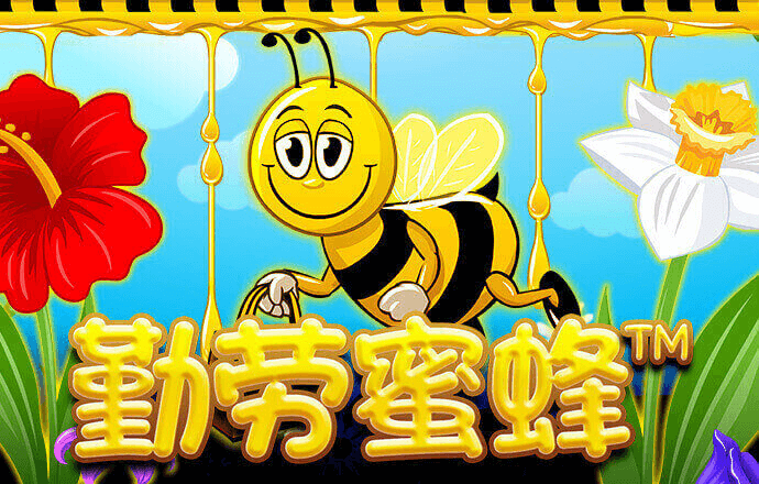 博乐体育网站登录入口